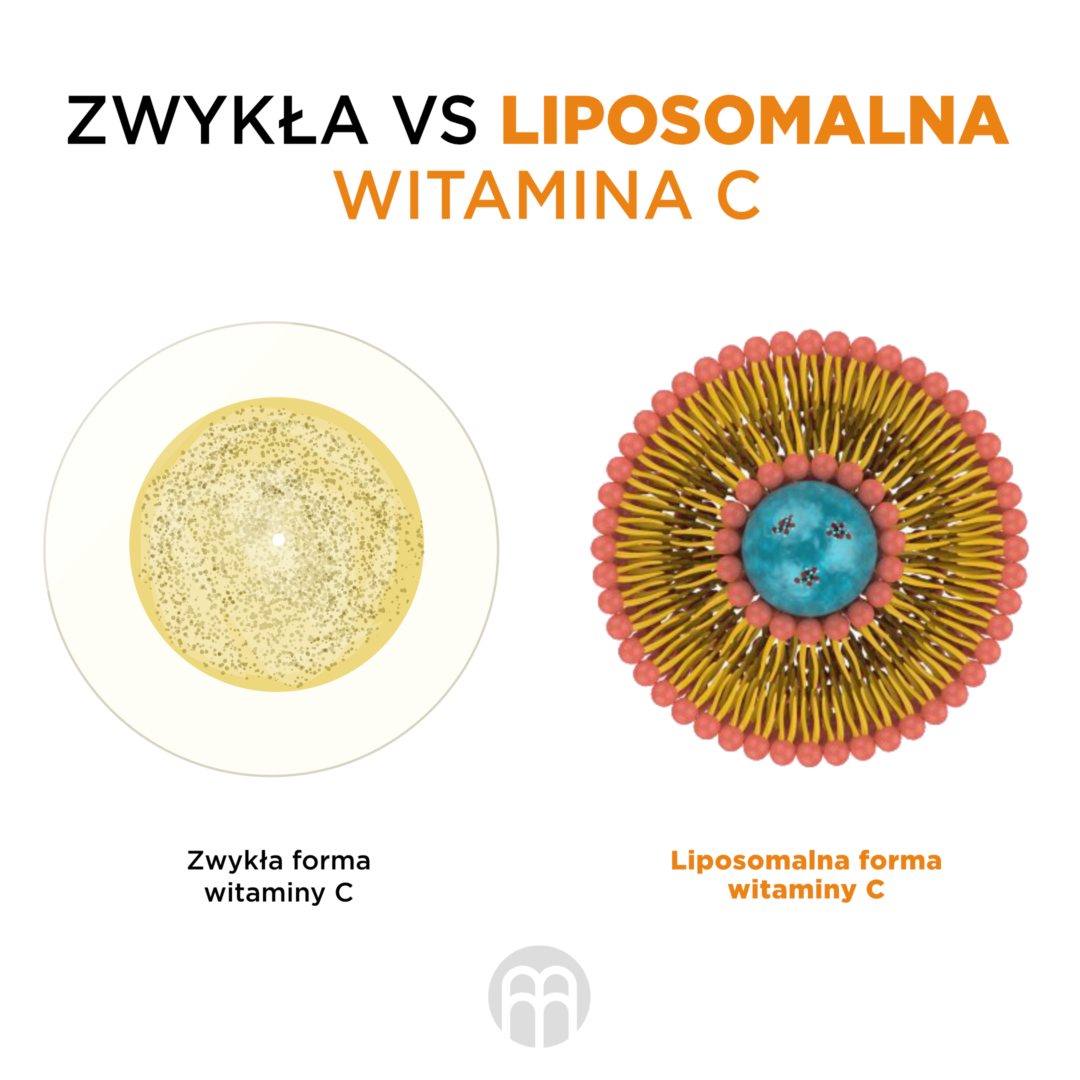 prirodni vs synteticky vitamin C_pl